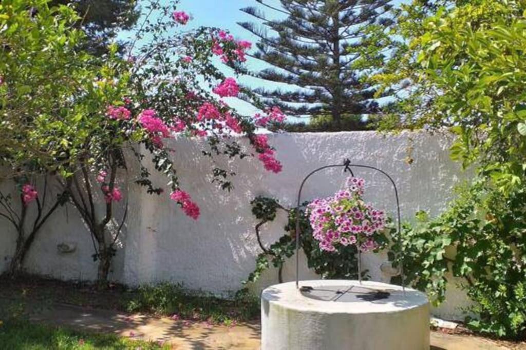 Villa Mozia Riserva Dello Stagnone Marsala Exteriér fotografie